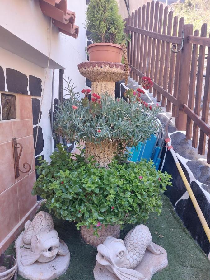Apartmán El Palmito 2 Mogán Exteriér fotografie